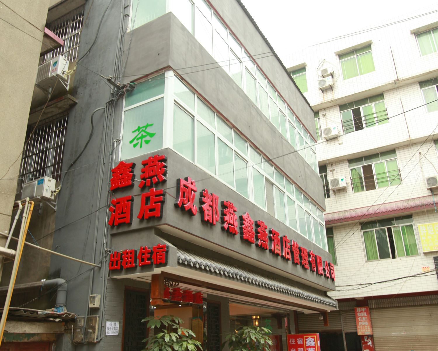 外观
