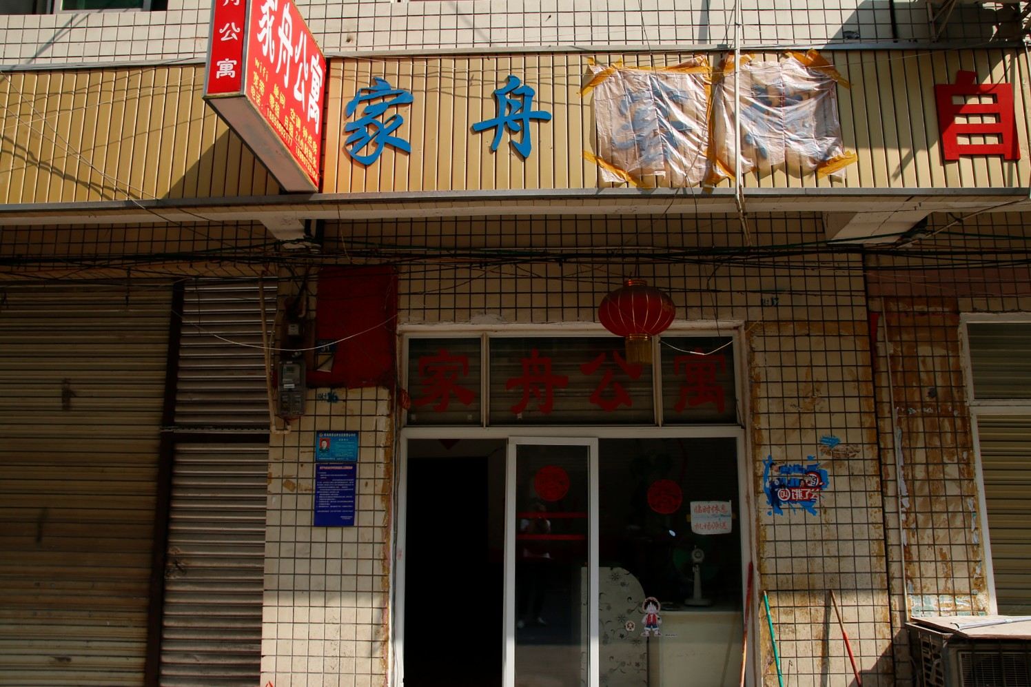 外观