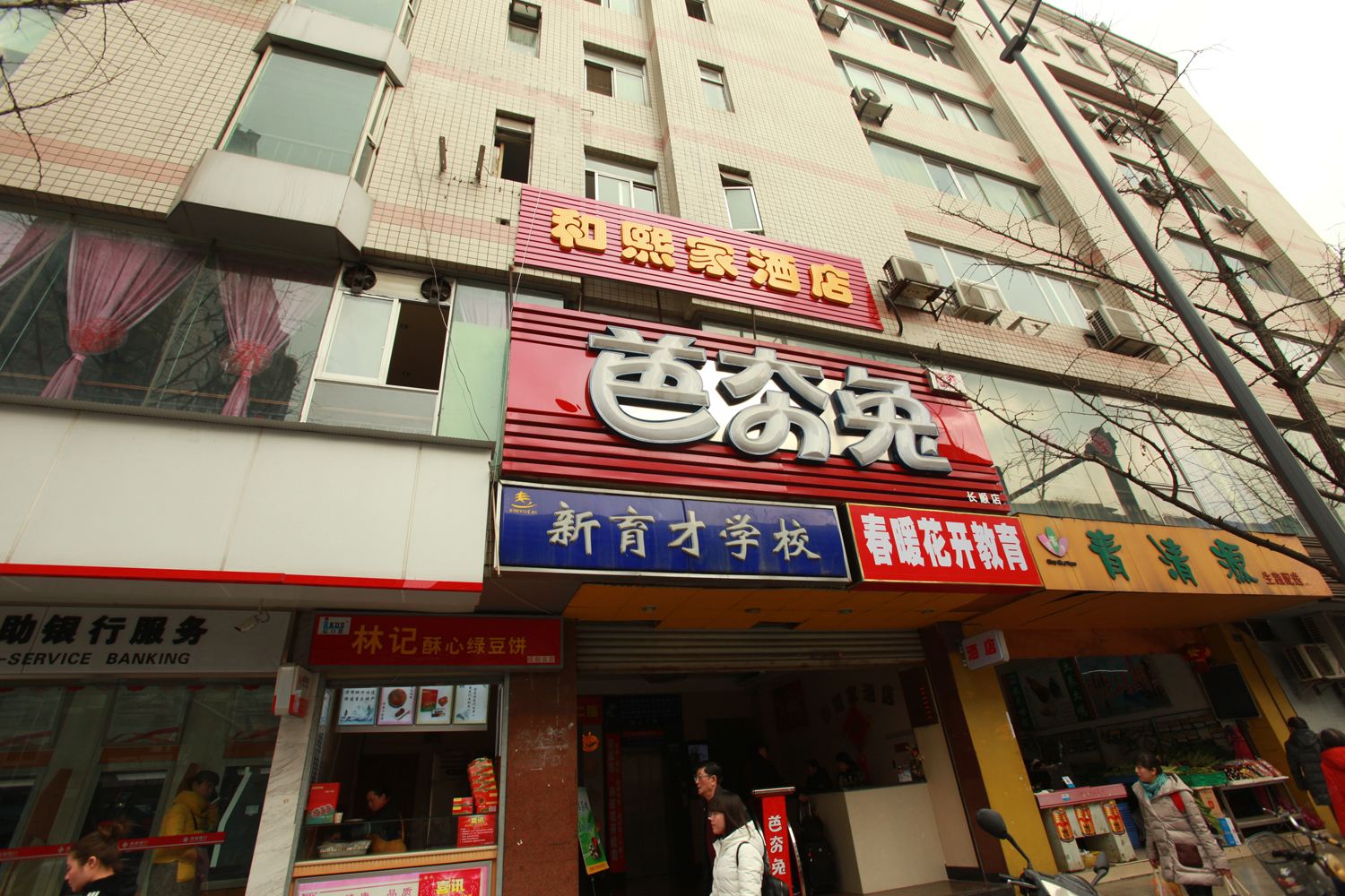 外观