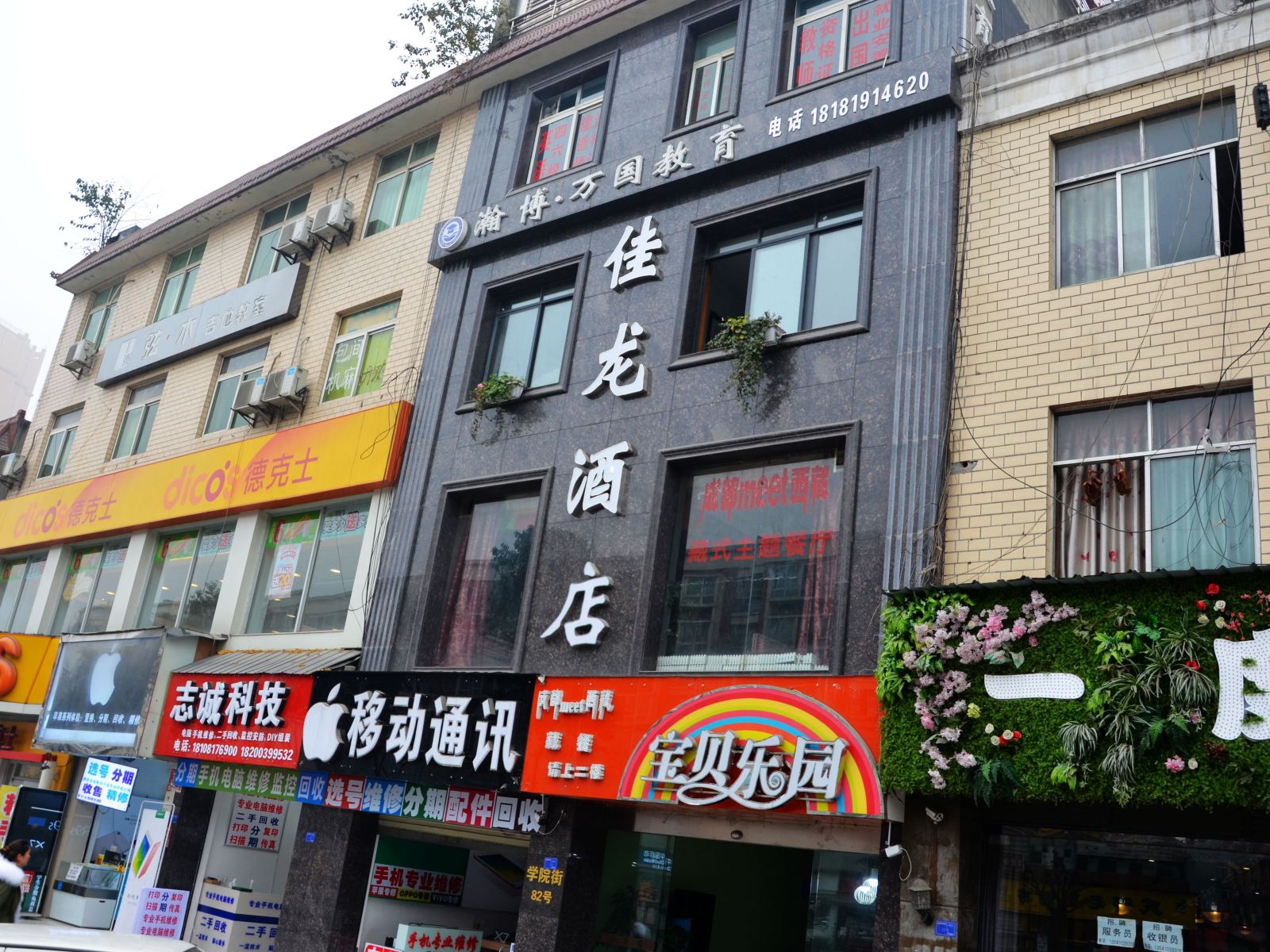 外观