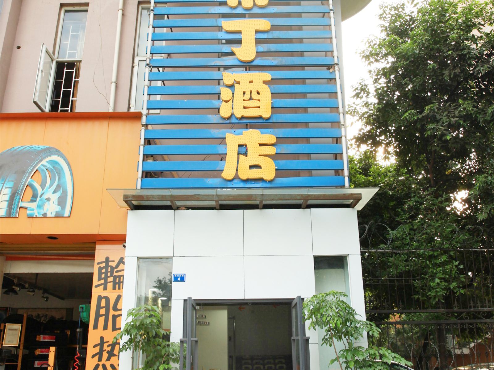 外观