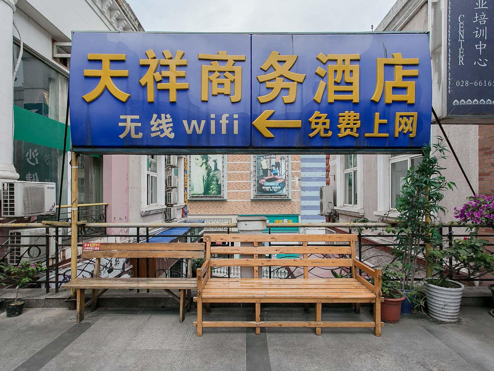 外观