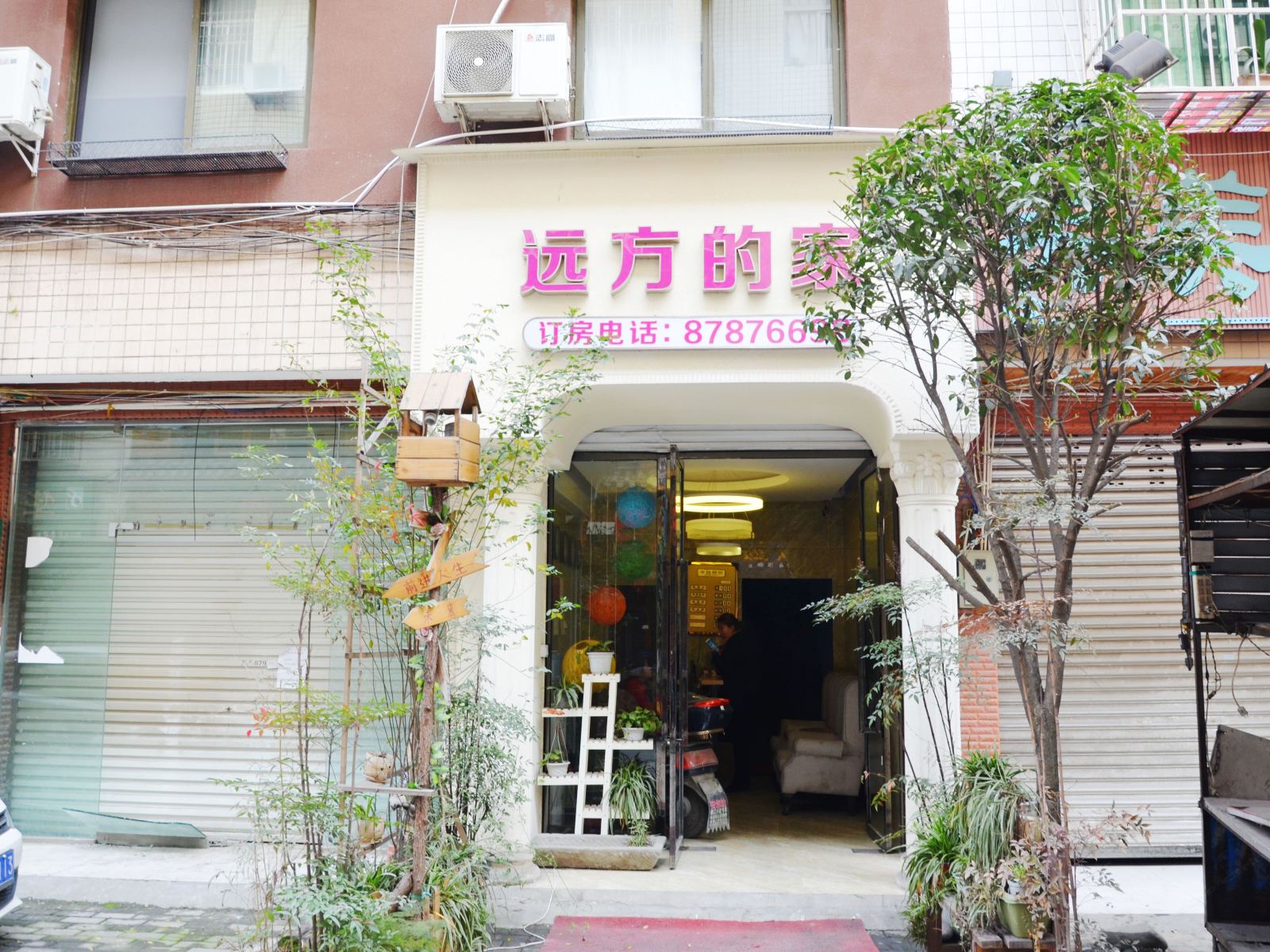 外观