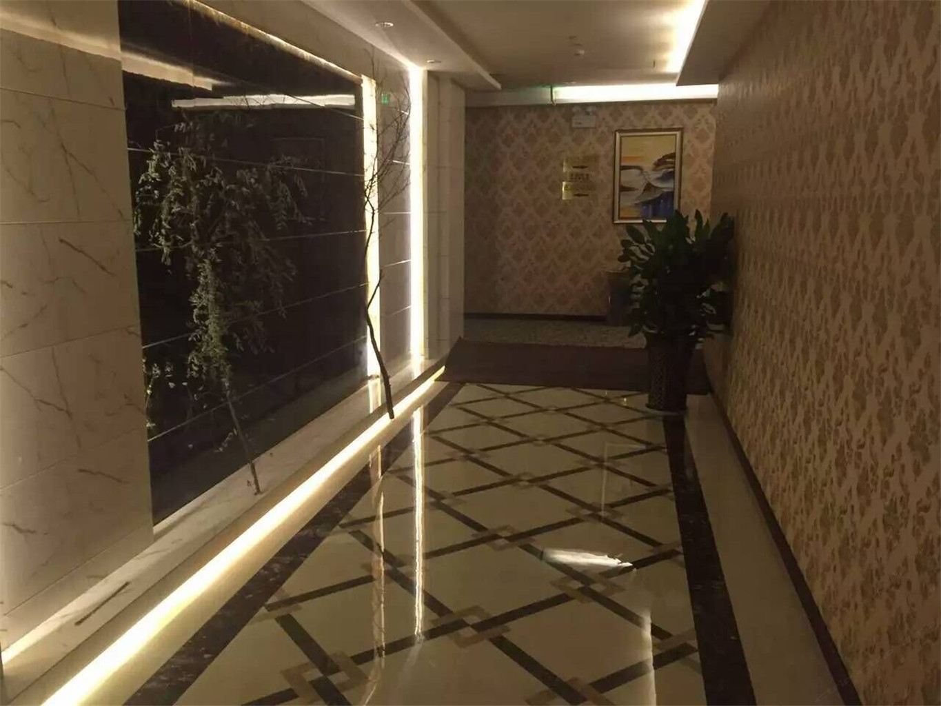 公共区域