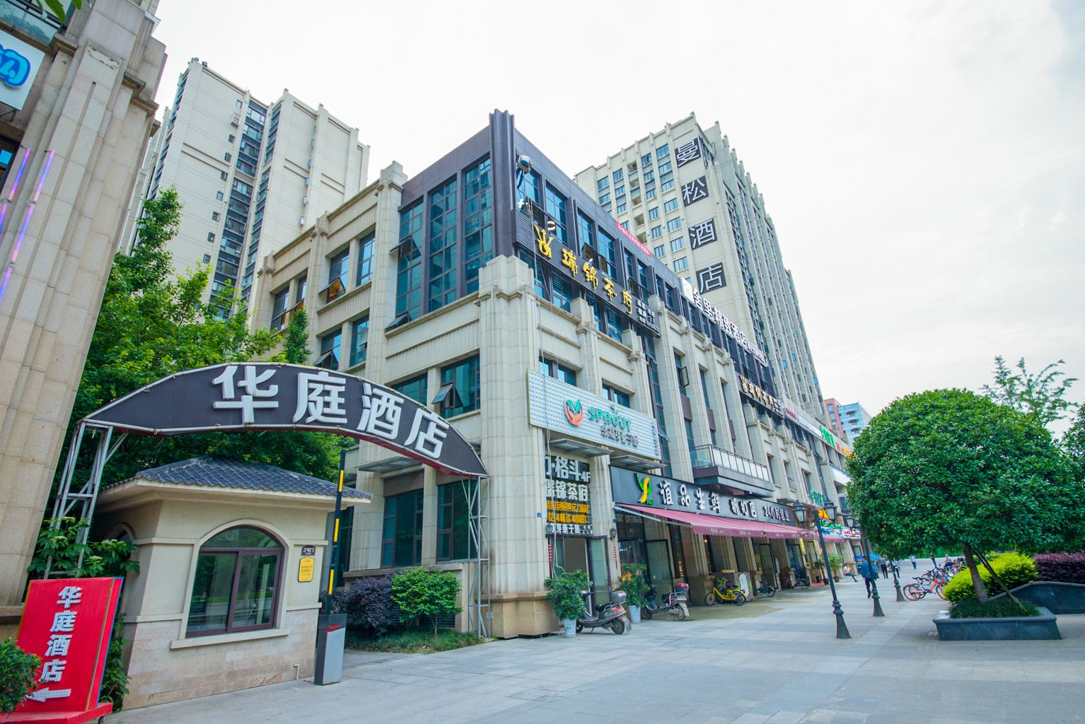 外观