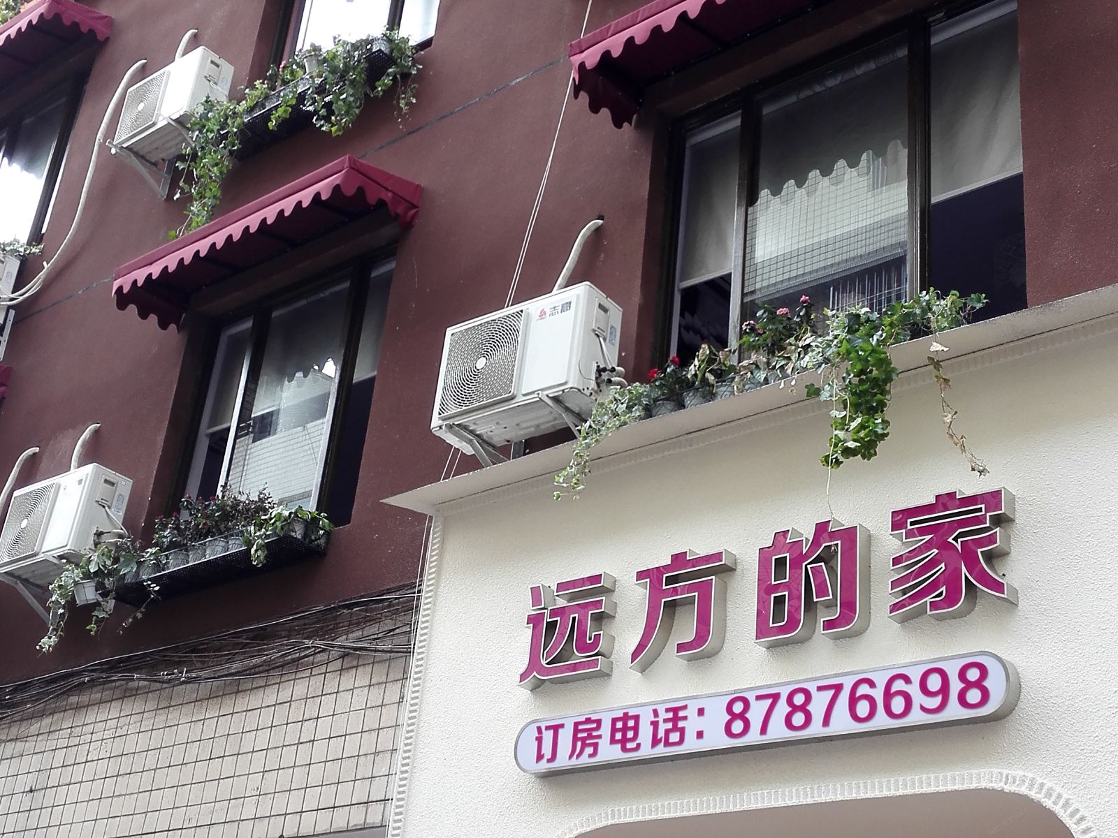 外观