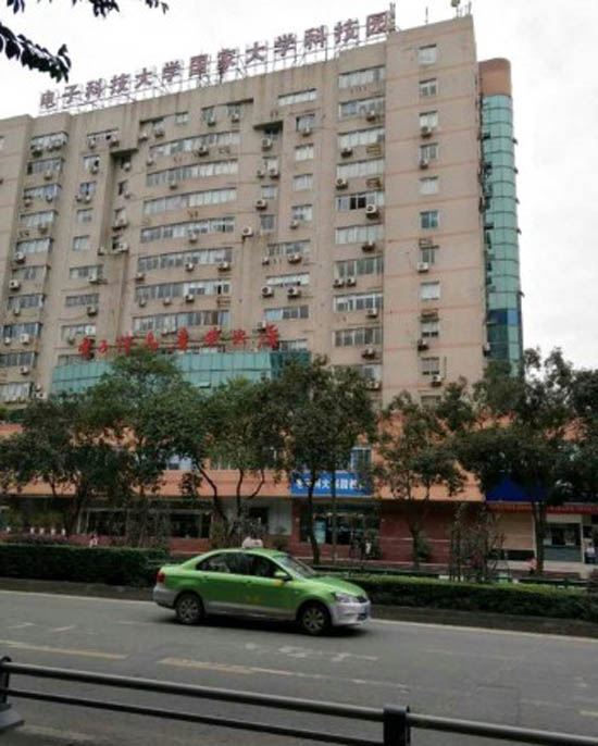 成都蒲公英酒店
