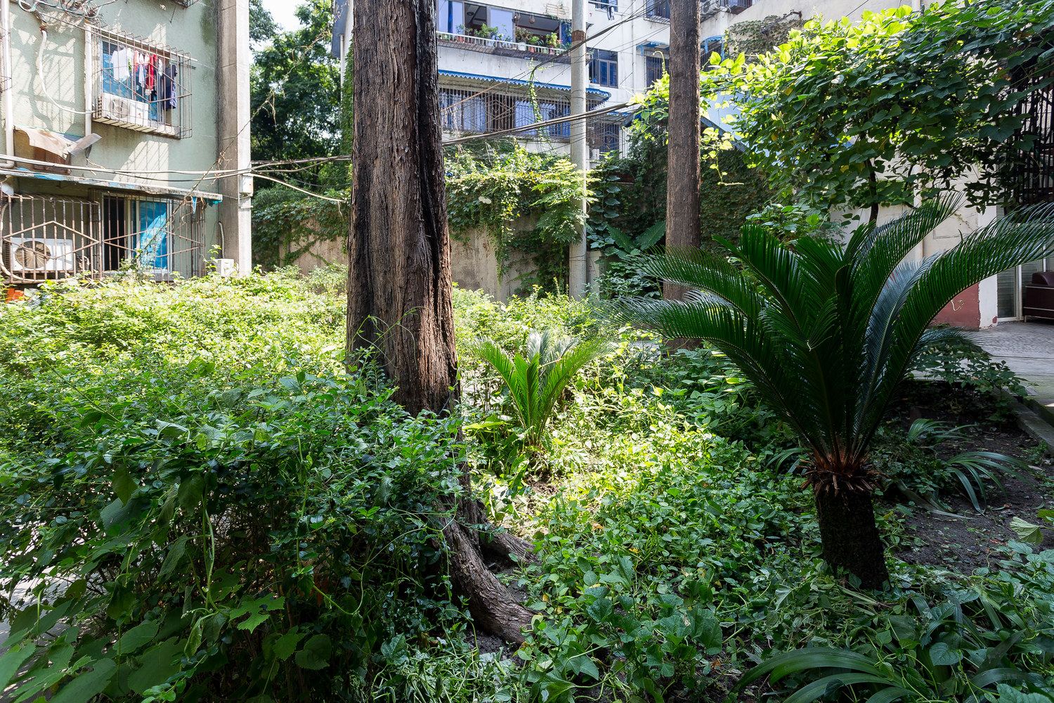 成都温馨套二公寓