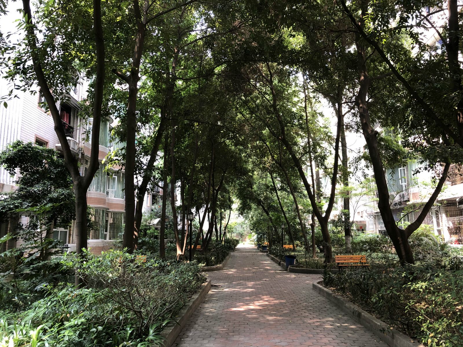 成都筑梦青年旅舍