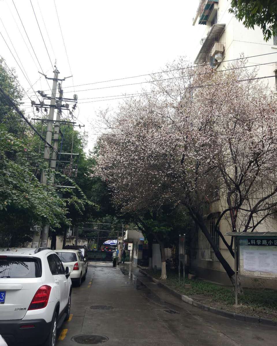 成都初玖 成都普通公寓