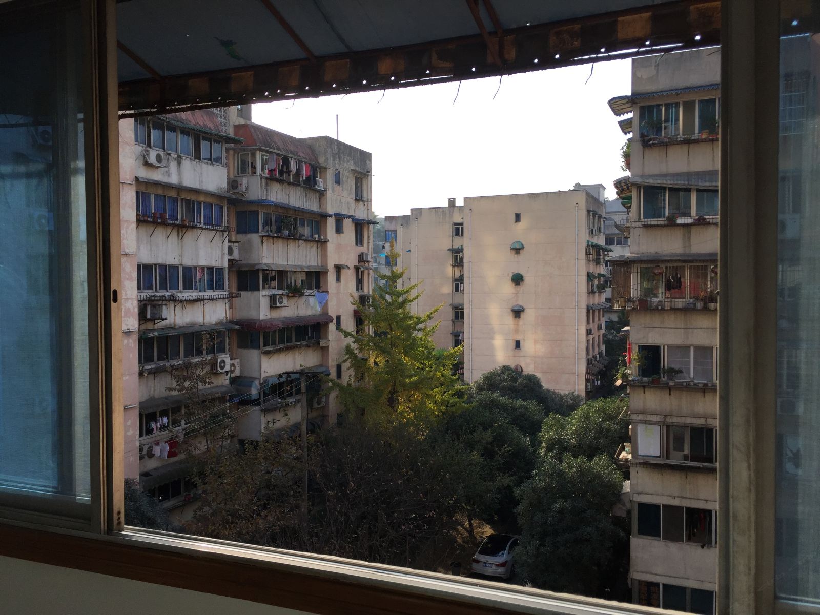 成都桐梓林芳草地普通公寓