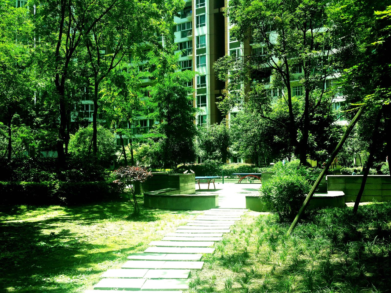 成都墨子80小屋