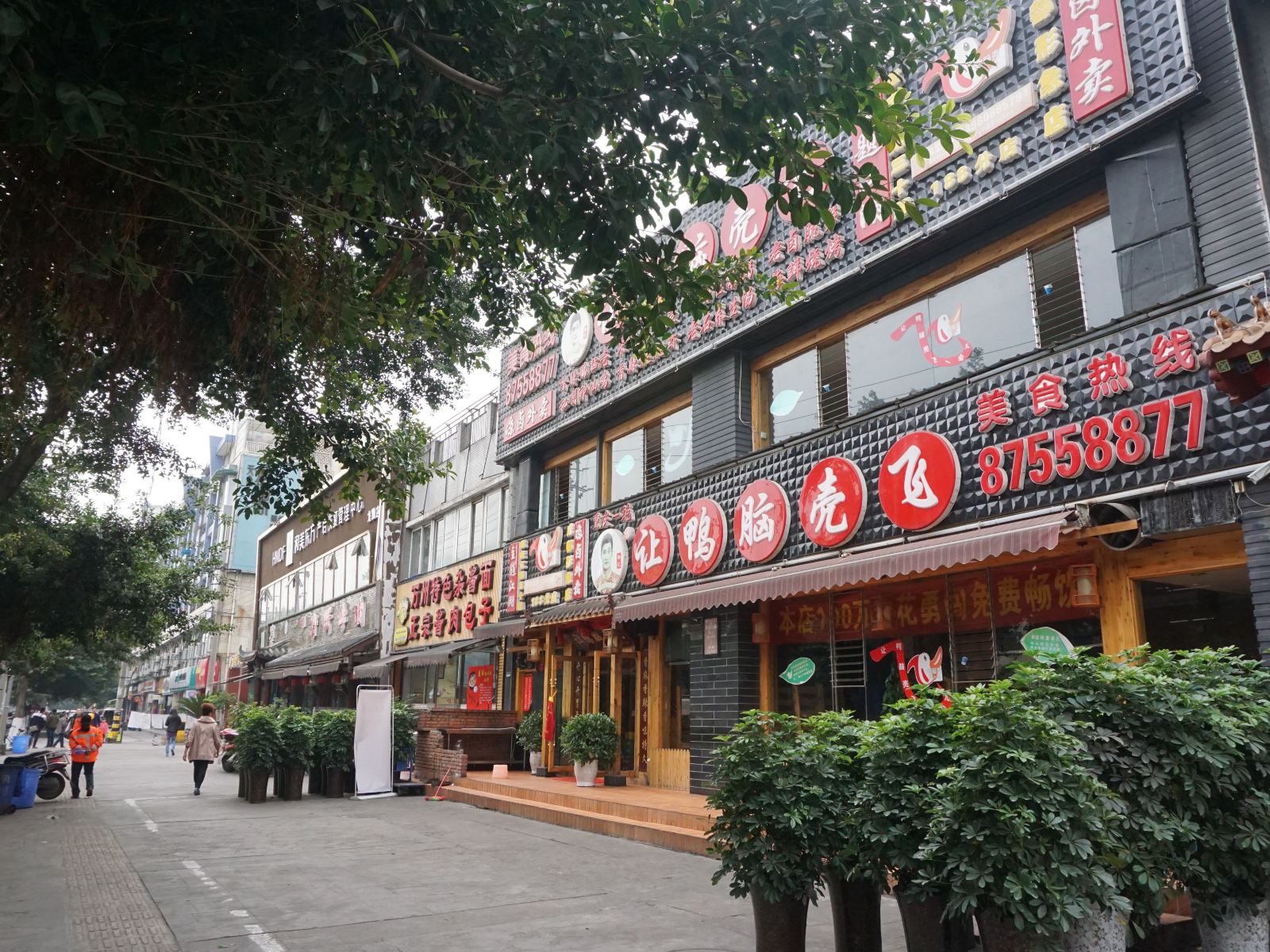 外观