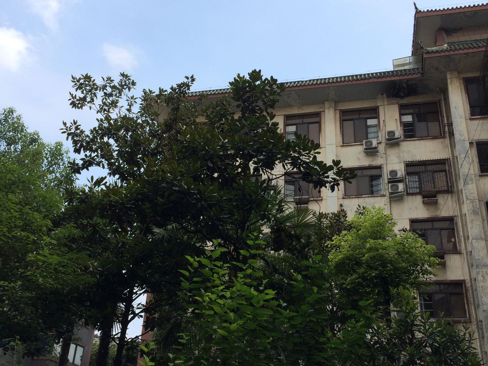 成都艺墨多多多多普通公寓