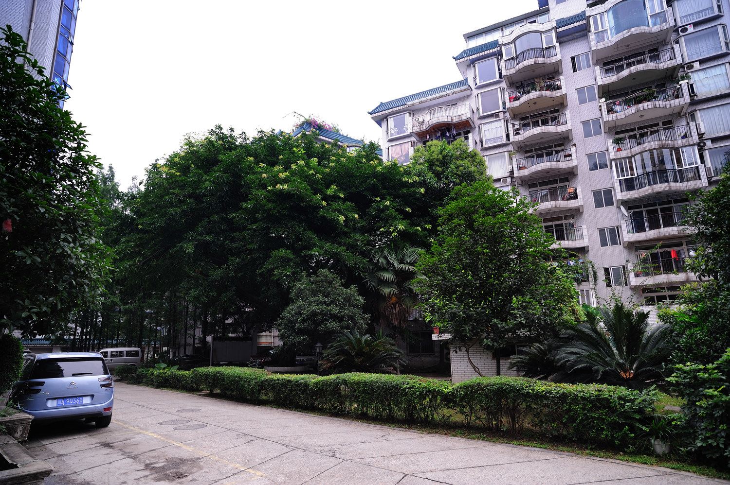 成都昕哥的家普通公寓