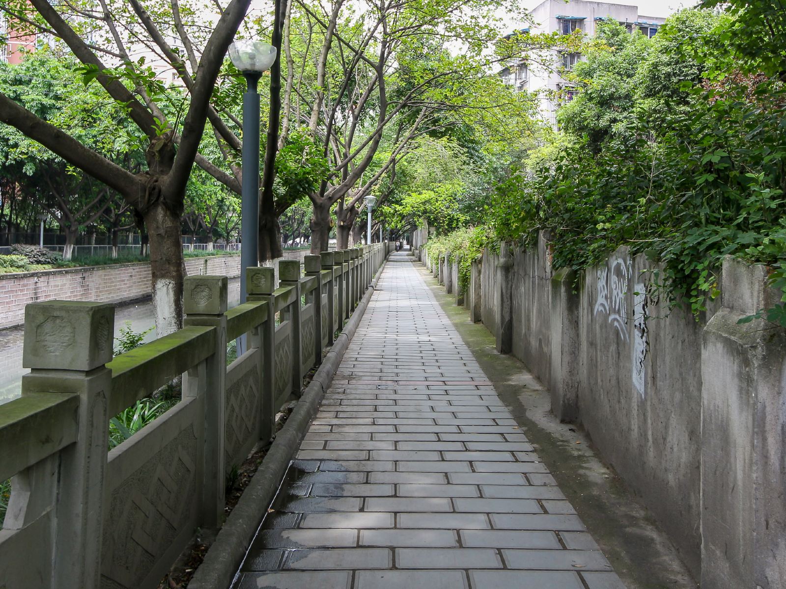 成都宽窄花语民宿