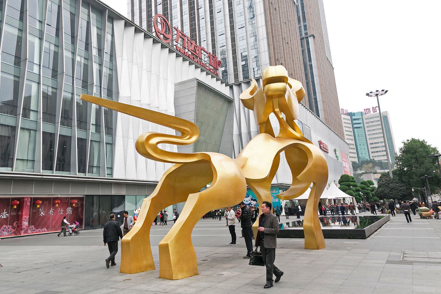 外观