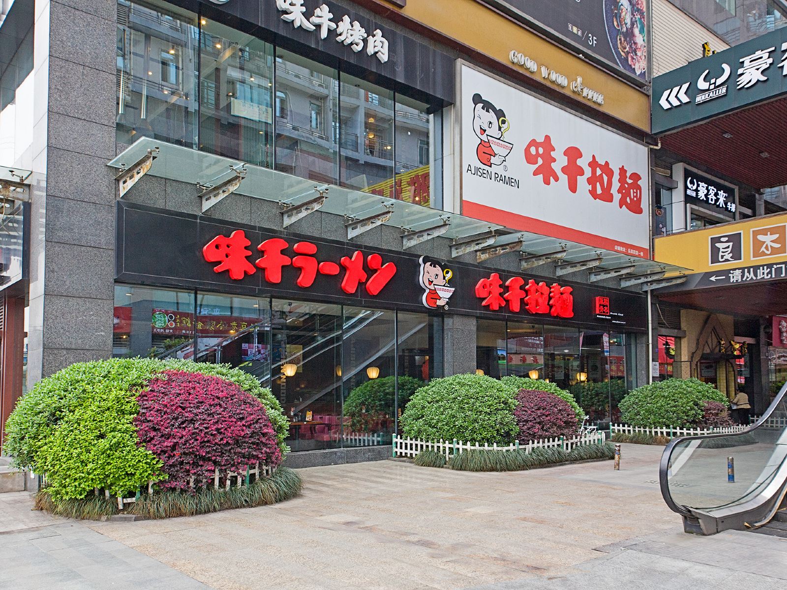 外观