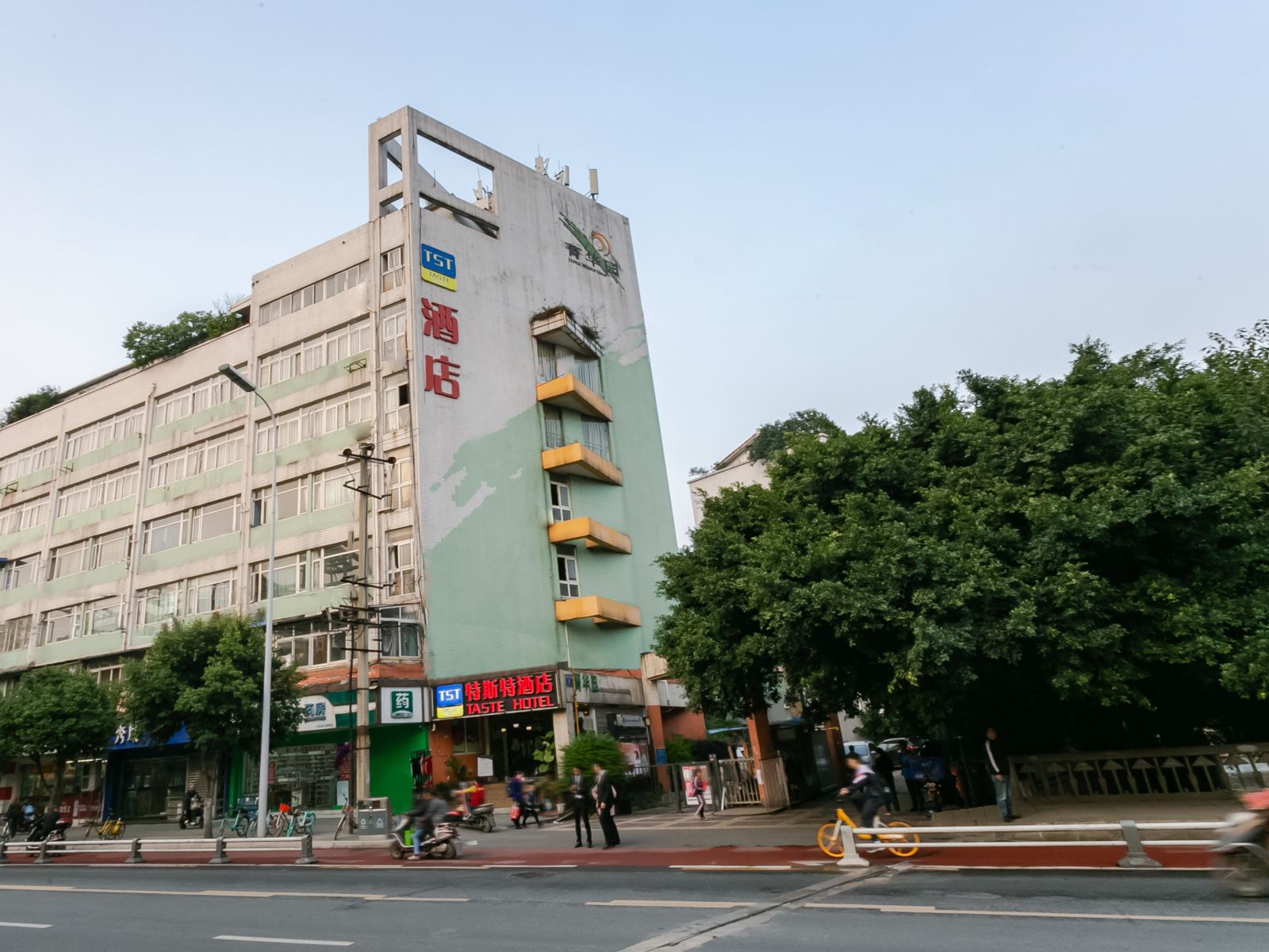 外观