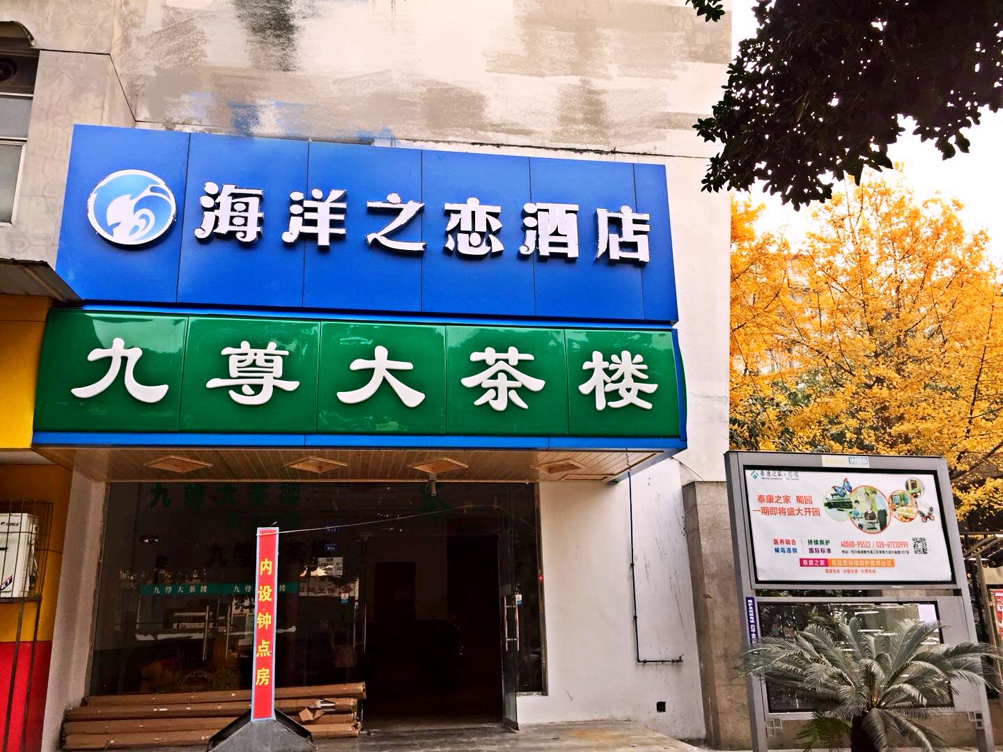 外观