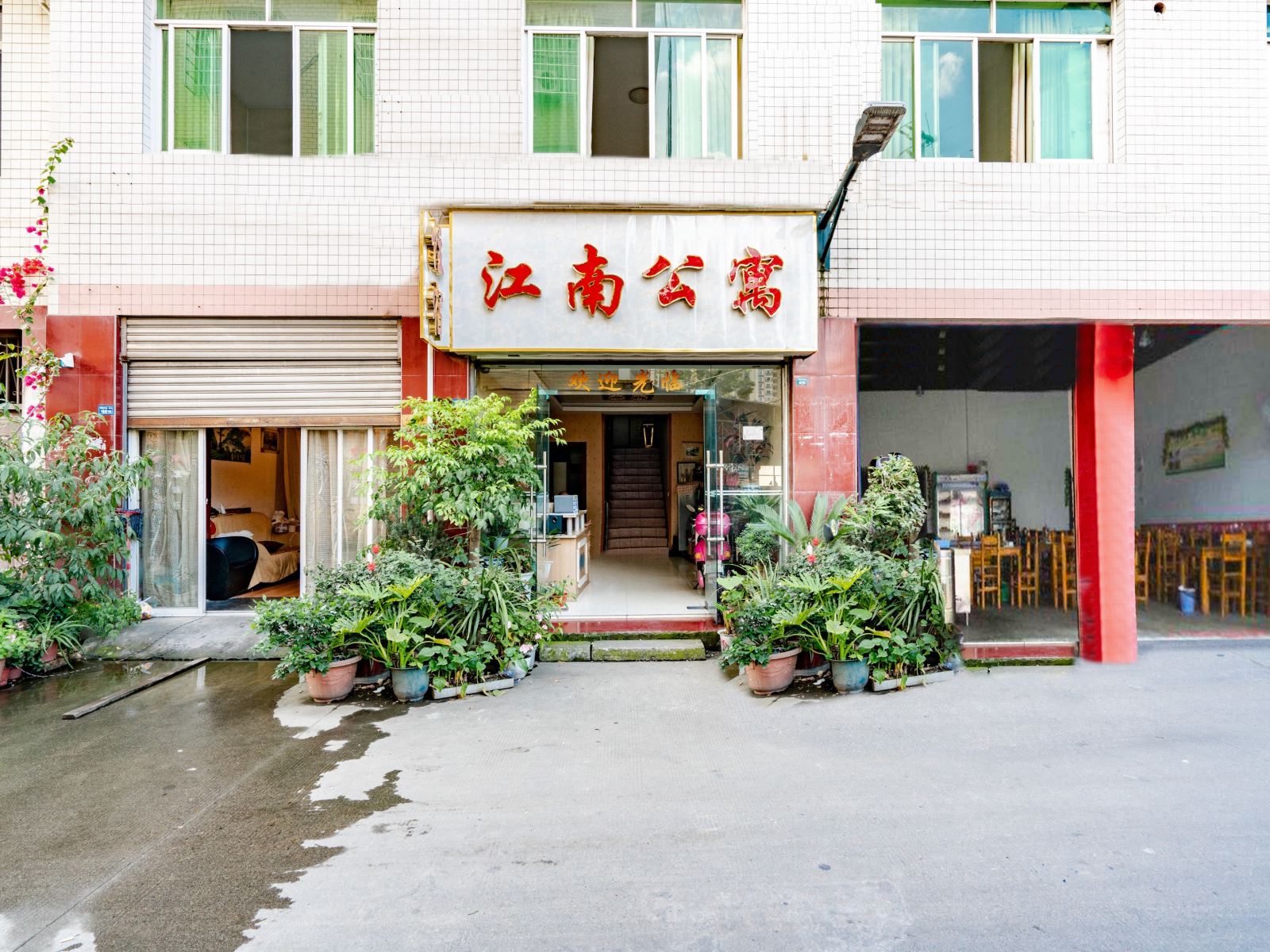 外观