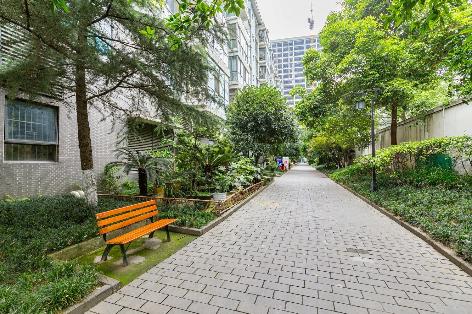 成都子林先生普通公寓