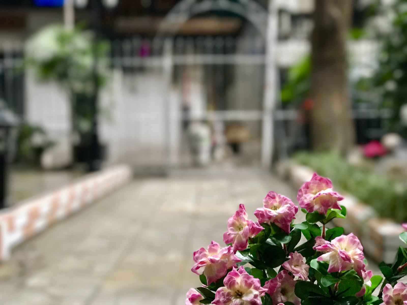 成都云上民宿(金罗路分店)