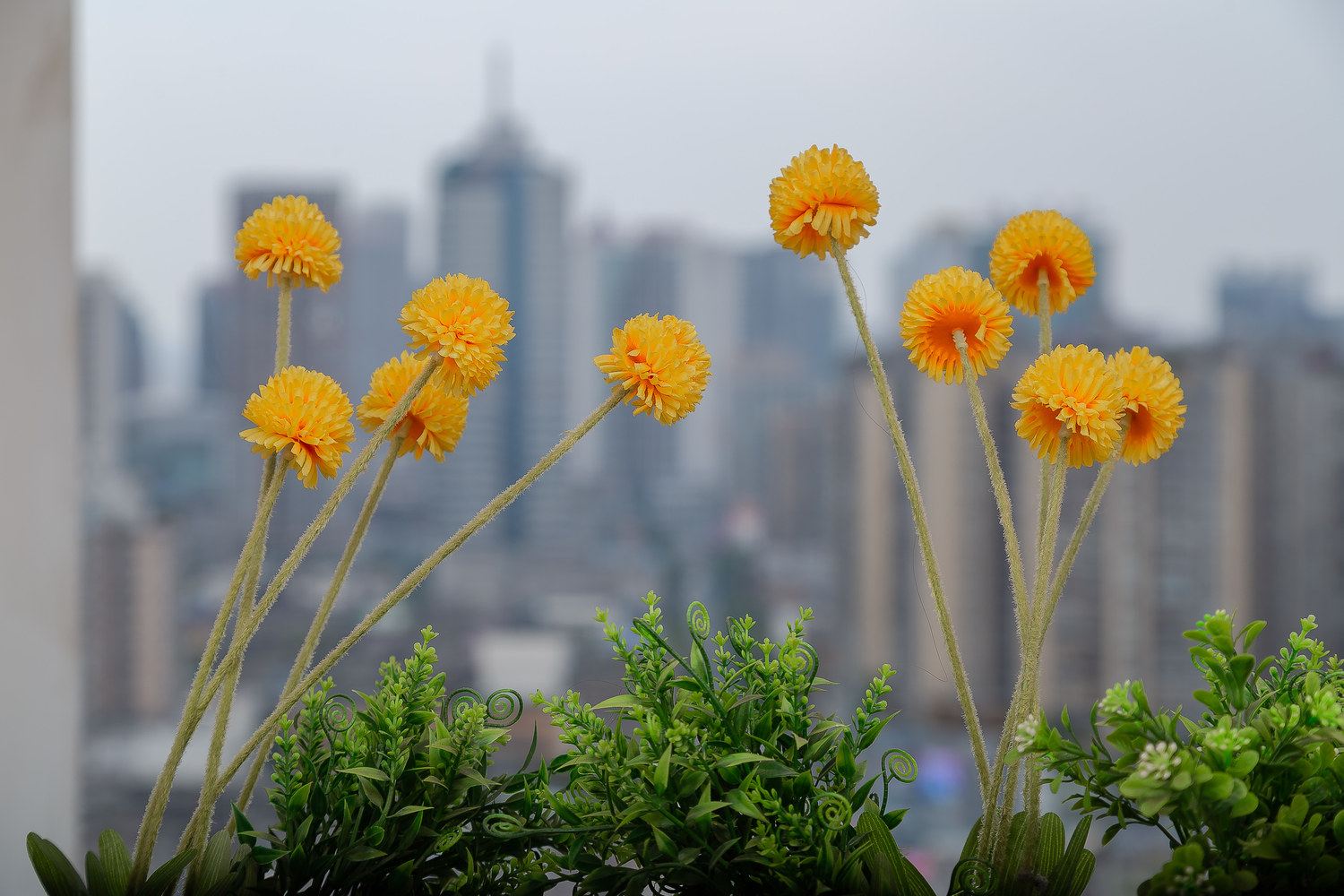 成都北欧温馨小居春熙路太古里双地铁普通公寓
