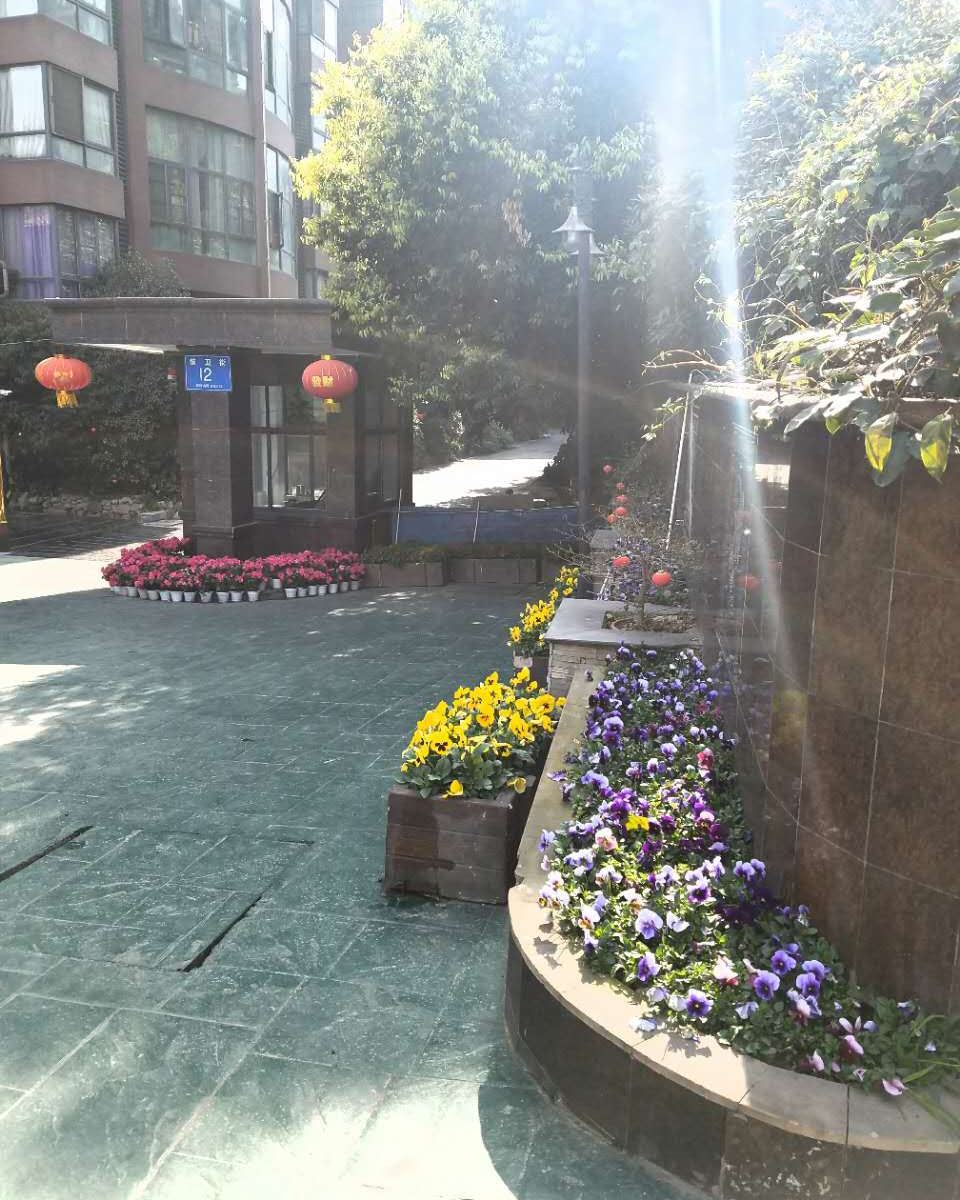 成都九月二十日复式(锦兴路分店)