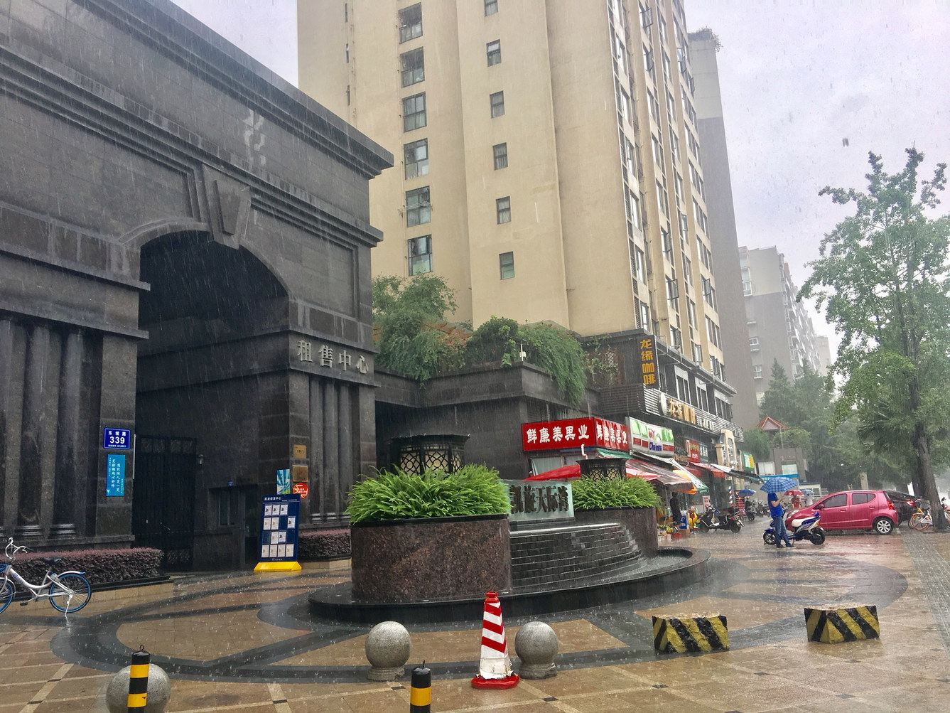 外观