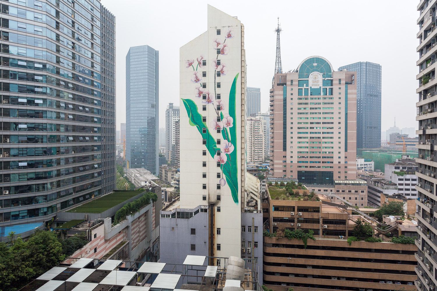 成都彳亍的岛普通公寓