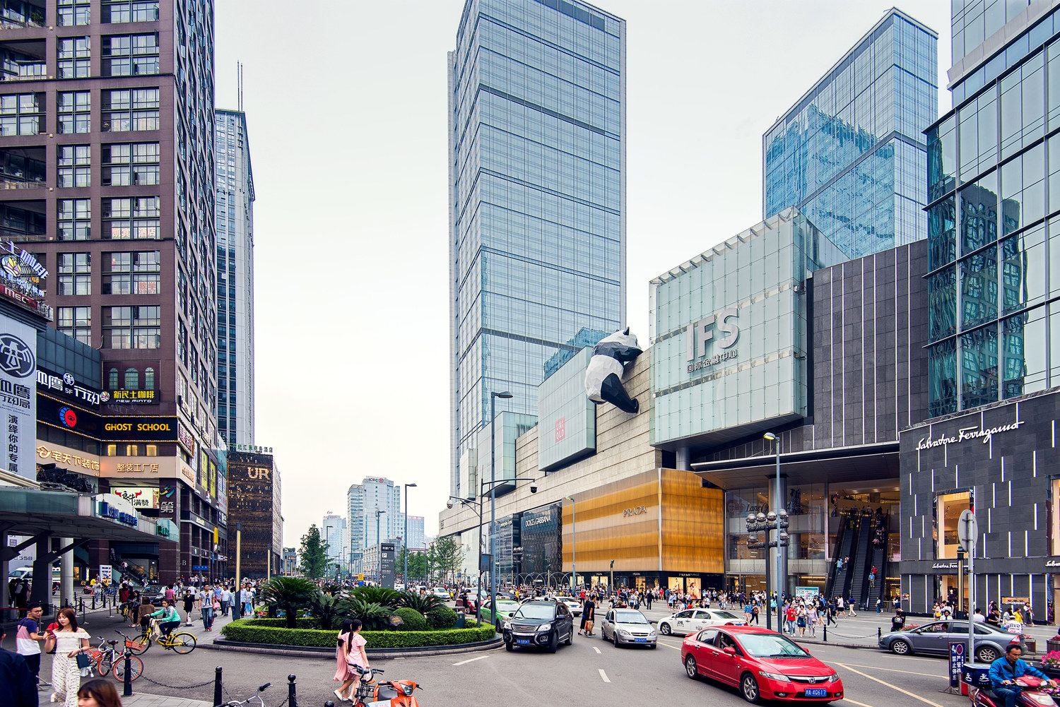 成都cat house (猫窝窝)普通公寓(蜀都大道店)