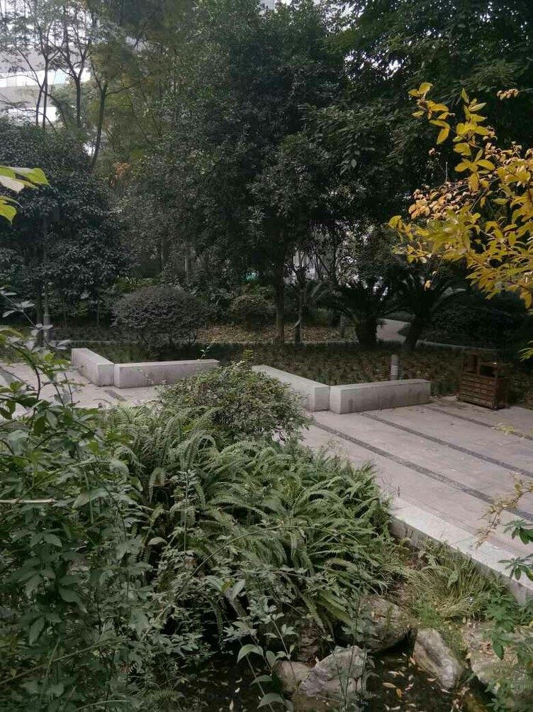 成都王雷特色民宿