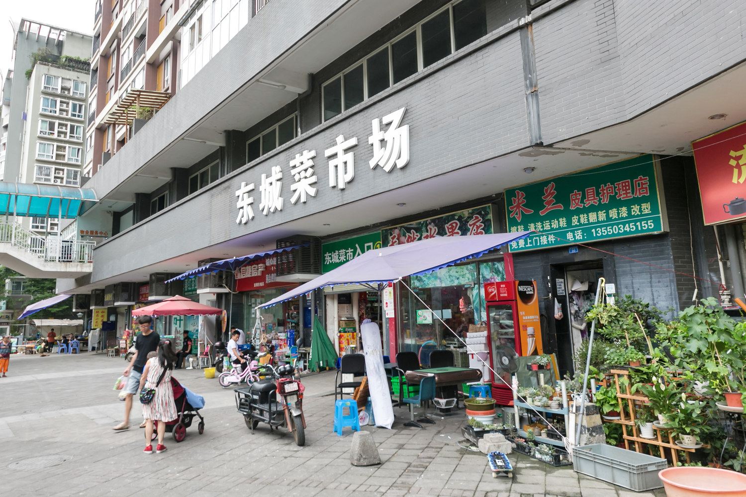 外观
