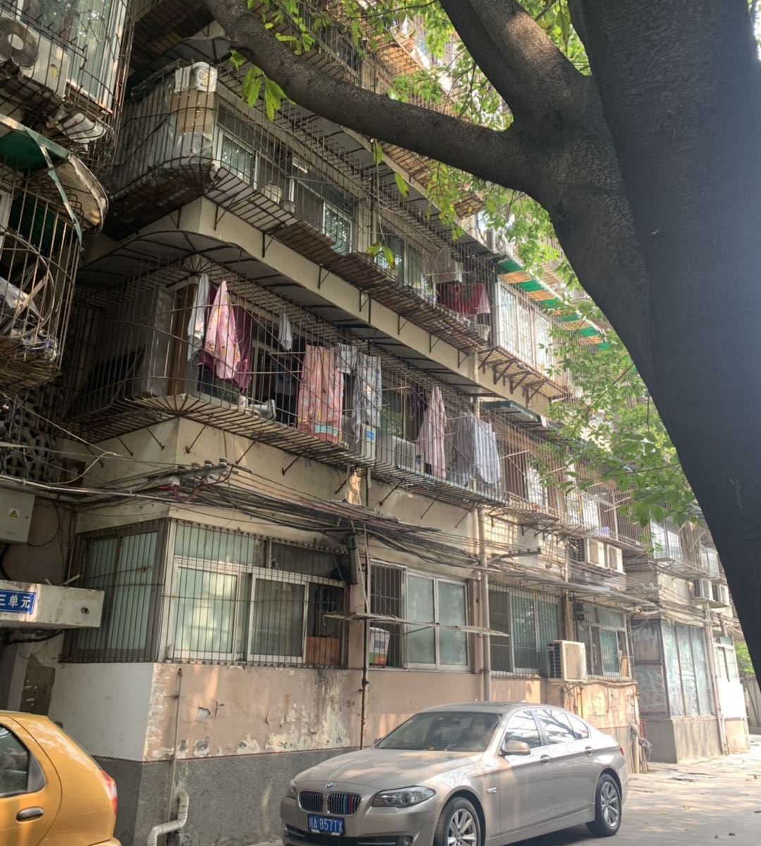 成都青庭青年旅舍