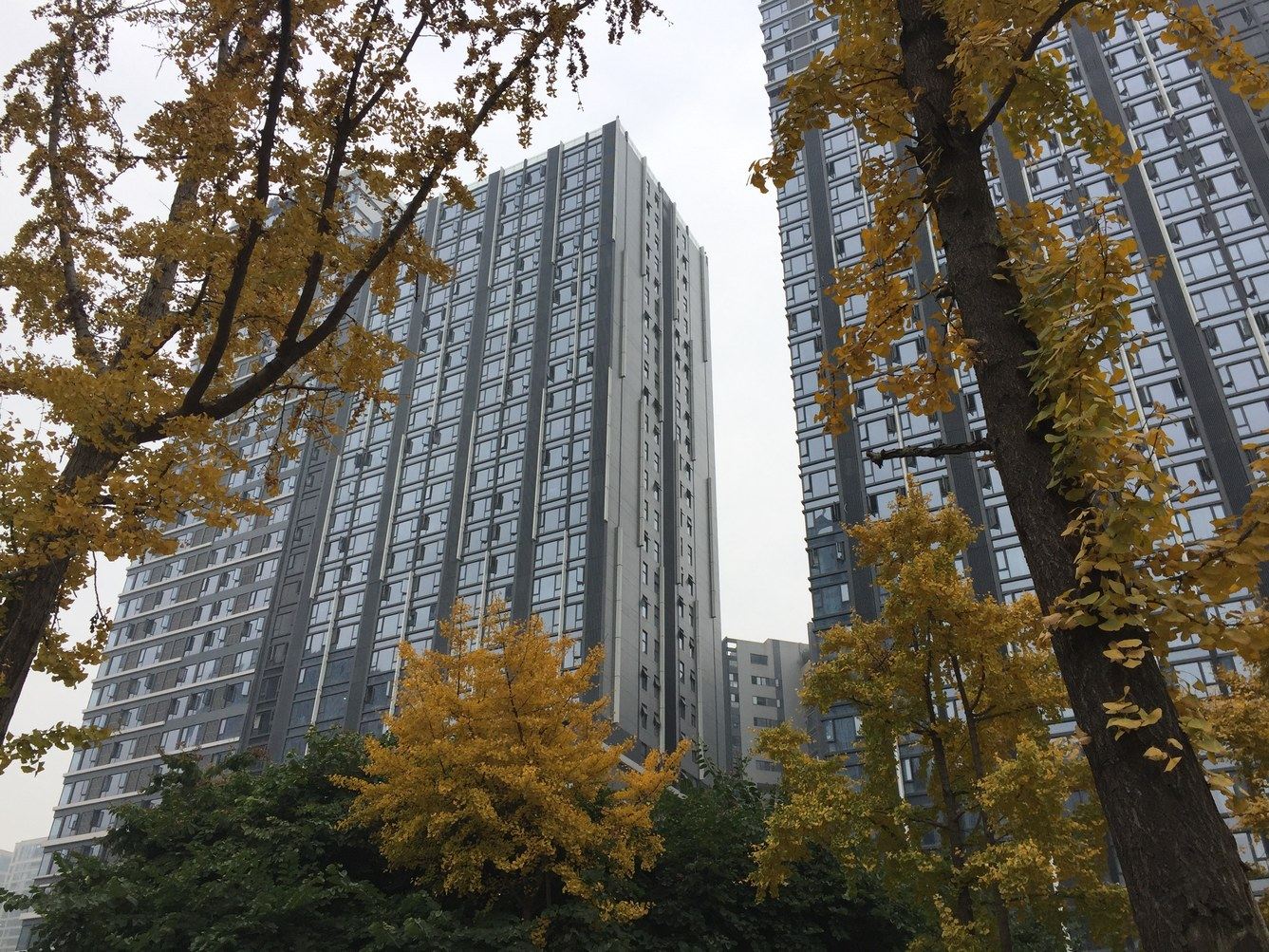 成都沉犀公寓