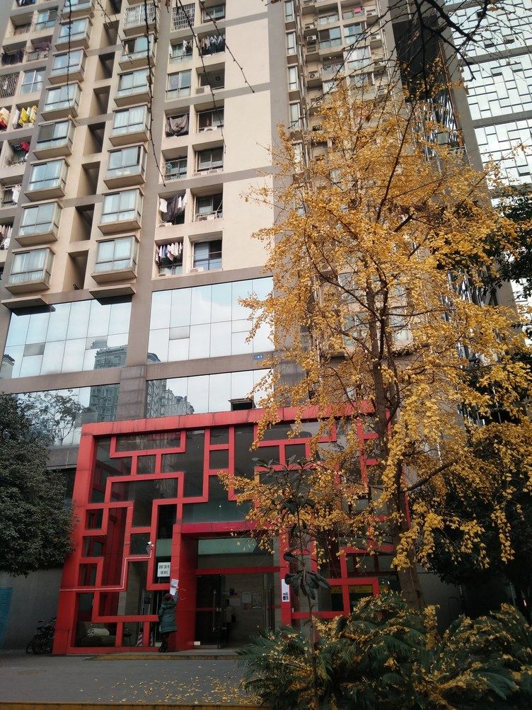 成都琦琦的家公寓