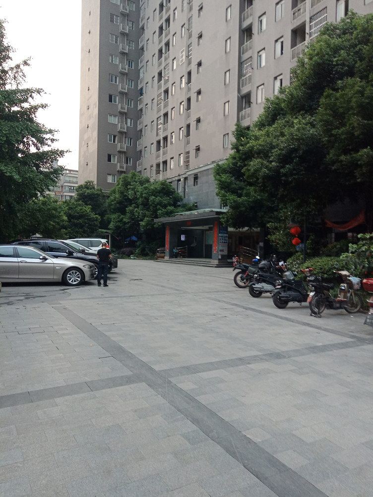 成都宋万涛公寓(果堰村分店)
