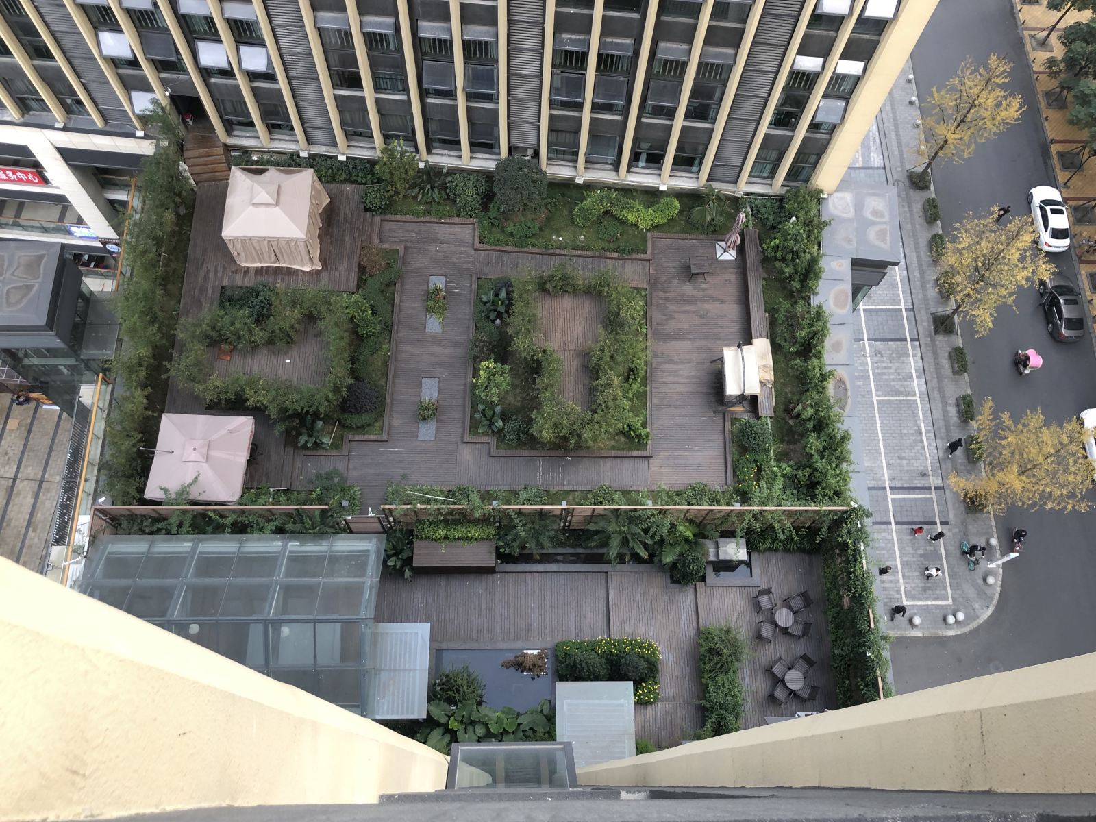 外观