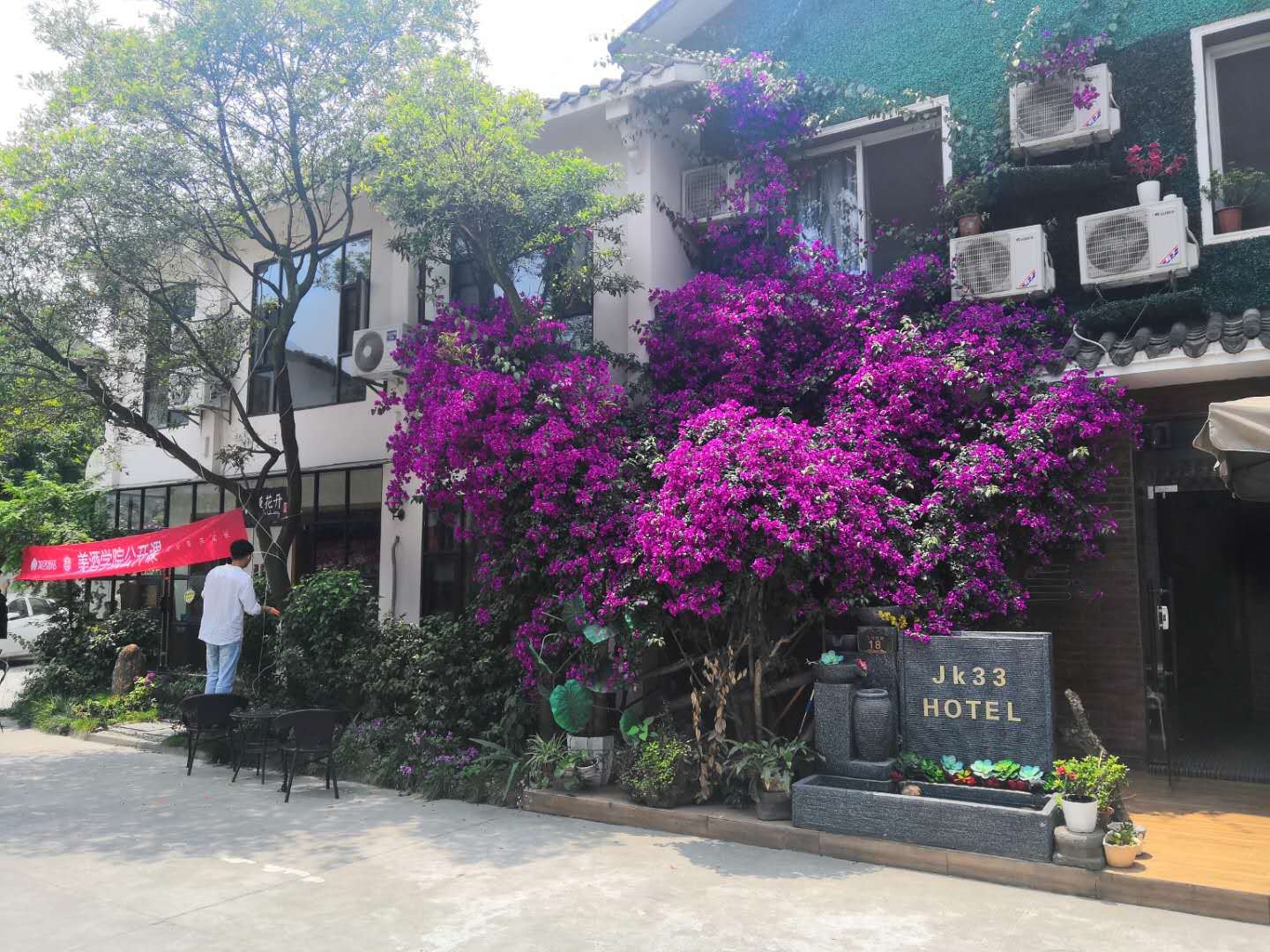 外观