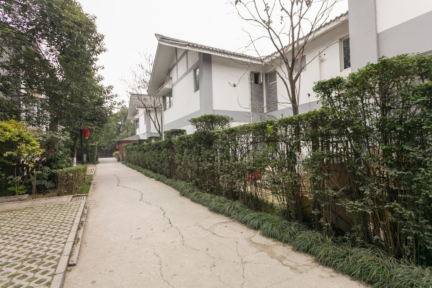 成都轰趴连锁陈依依度假别墅(万寿桥村分店)