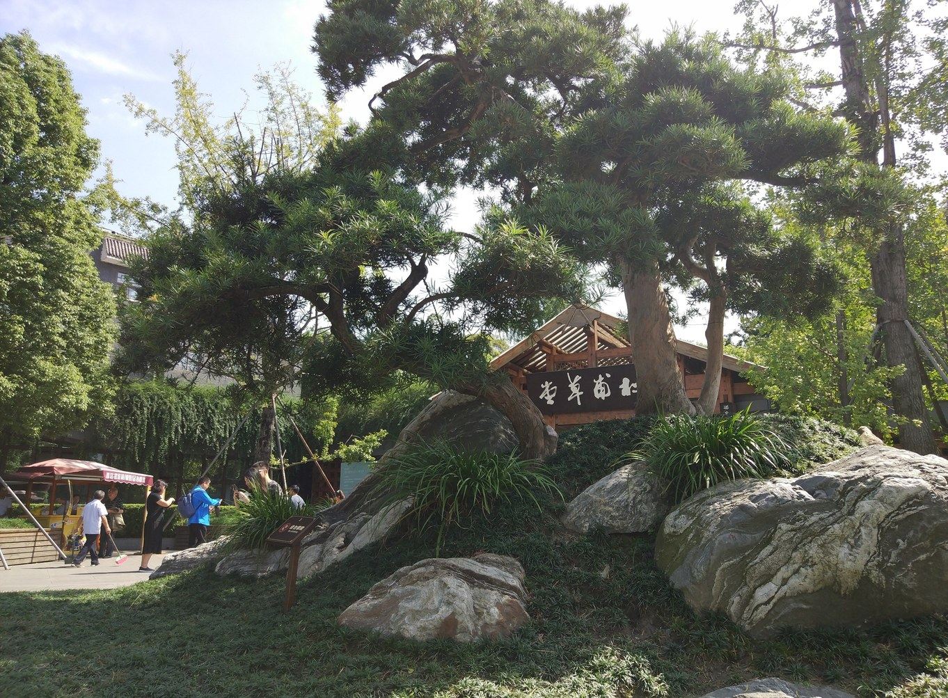 其他