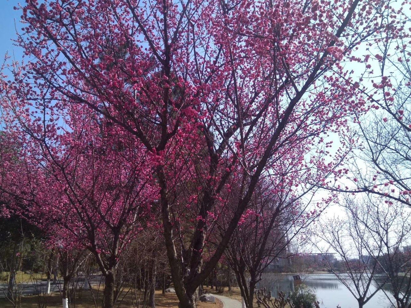 犀浦站/西南交大旁/双铁广场温馨整租公寓
