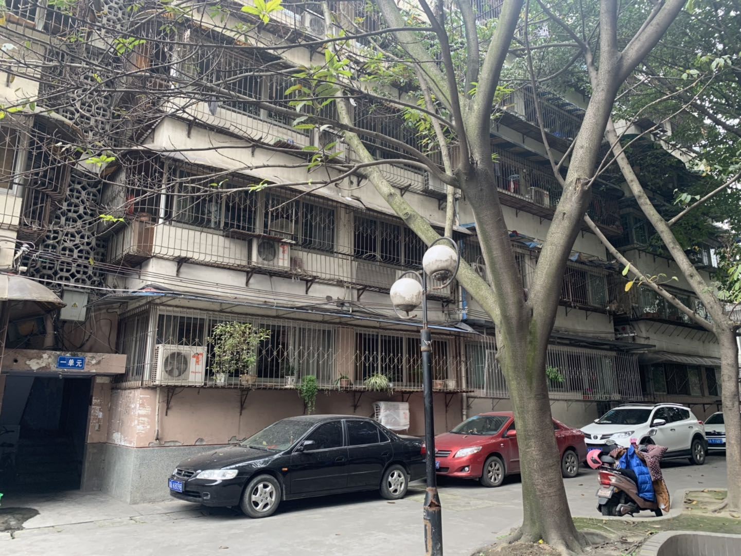 成都芒果青年旅舍