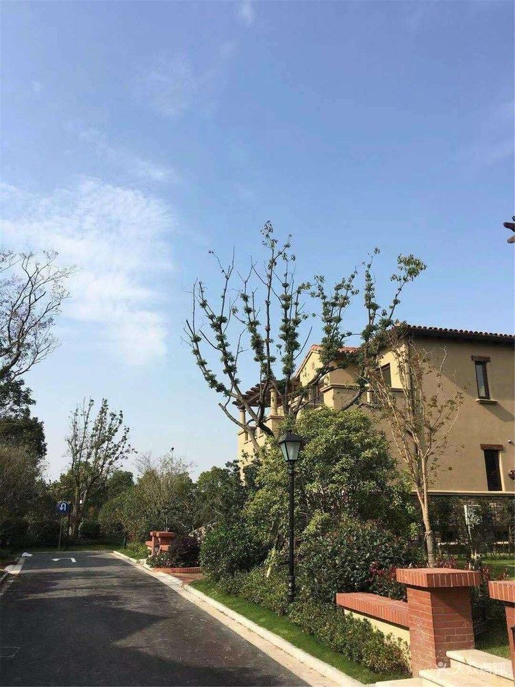 成都维多利亚别墅旅游聚会轰趴