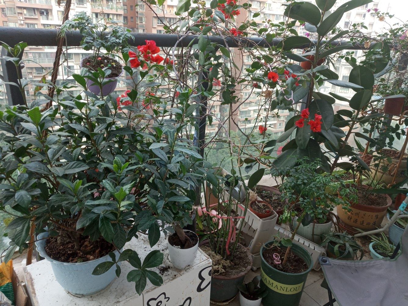 成都梦想家之家公寓(8号店)
