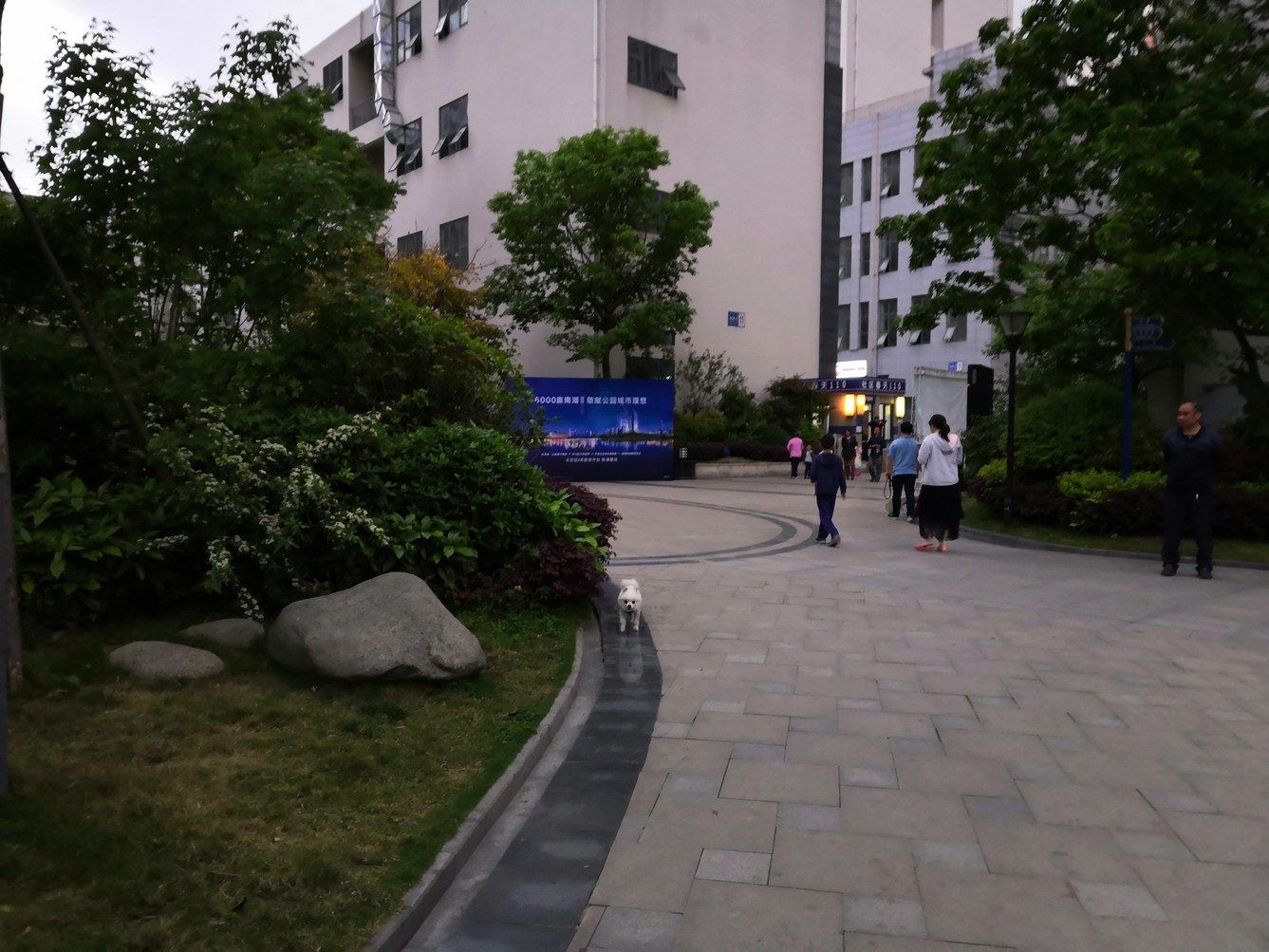 其他