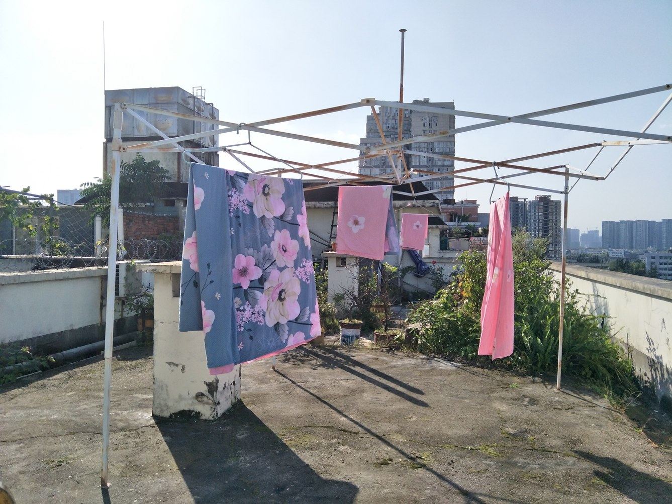 其他