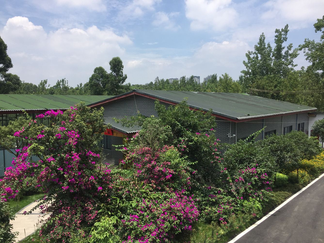 成都云溪璞墅-熊呆度假别墅(4号店)