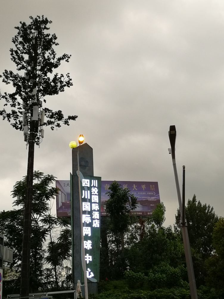 其他